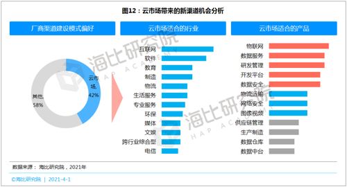 SaaS等數智化產品呼喚新渠道 網絡與信息安全軟件開發的機遇與挑戰